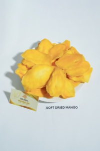 Soft <b>Dried</b> Sweet Water-Preserved <b>Mango</b> Slices Vietnam Origin Healthy Snacking Low Sugar Fiber Rich Ready Eat Wholesale Premium - Product Image 6