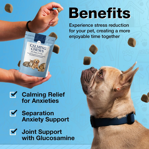 Calming Chews Hemp Oil Dogs Cats Organic Soft Treats Natural Stress Relief Anxiety Support Promotes Relaxation Emotional Balance - Product Image 4
