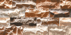 Carreaux muraux Premium Choice de qualité supérieure, carreaux d'élévation Asia Tiles 300x600mm pour articles de santé. - Product Image 4