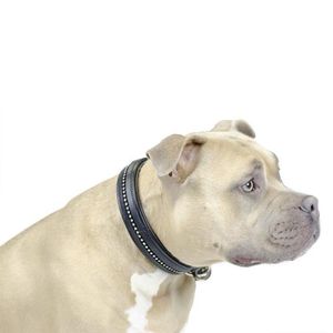 Collar de Perro Acolchado con Cristales, Hecho a Mano en EE. UU., con Pedrería, Forro Suave, Ajustable y Duradero, Collar de Lujo para Mascotas - Product Image 2