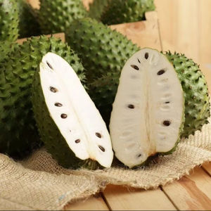 WHOLESALE IQF FROZEN SOURSOP PUREE FOR FOOD AND BEVERAGE PROCESSING - Product Image 2
