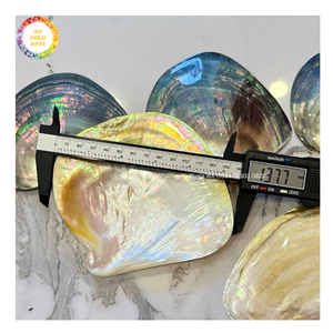 Pendentif en nacre naturelle, disque de coquillage poli, breloque, perles de coquillage noir, pour la fabrication de boucles d'oreilles, colliers et bijoux DIY - Product Image 4