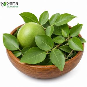 ผู้ผลิตโดยตรง Aegle Marmelos สมุนไพรดิบ วัตถุดิบพืชคุณภาพพรีเมียม ขายส่งแบบ OEM - Product Image 1