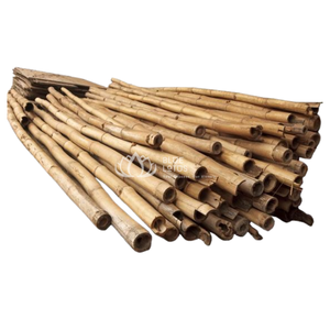 Poteaux en bambou écologiques de qualité supérieure, best-sellers, pour l'agriculture durable, piquets de soutien pour plantes, en vrac - Product Image 1
