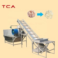 Machine automatique de poudre d'ail TCA 200-500 kg/h ligne de production d'épluchage d'ail de Type chaîne électrique commerciale de productivité élevée