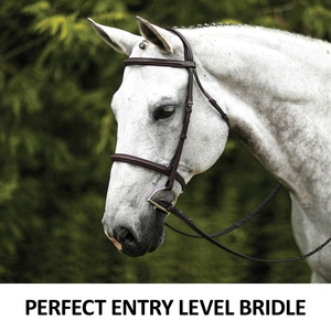 Bridas de Cuero Vacuno 100% Genuino de Marca Privada OEM, Producto Confiable, Brida Occidental para Caballo con Collarín - Product Image 3