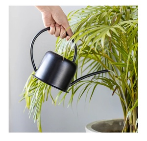 ผงสีดําเคลือบน้ําหนักเบาเหล็กขนาดเล็กโลหะชุบสังกะสีรดน้ําต้นไม้ในร่มรดน้ําหม้อขายส่งผู้ผลิต - Product Image 1