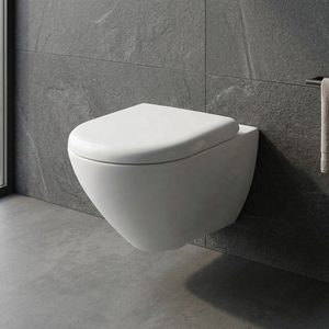 Matte Grey Rimless Wall Hung Toilet <b>Ceramic</b> WC Bowl European Style Wall Mounted <b>Pan</b> For Villa Hotel Bathroom - Product Image 2