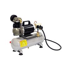 Pompe à air mobile mini compresseur d'air professionnel sans huile à cycle de service longue durée résistant aux intempéries à haute efficacité 12V avec réservoir de 8 litres