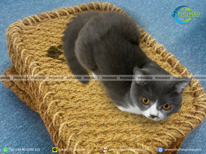 Alfombra de Fibra de Coco Ecológica para Mascotas, Alfombra de Coco, Venta al por Mayor, Cama Cómoda para Mascotas - Product Image 4