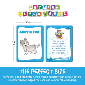 Cartes flash double face Biplob's 28, taille personnalisée, animaux arctiques avec images et rimes imprimées, matériau papier éducatif - Product Image 3