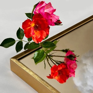 Luxury <b>Gold</b> Metal Wall <b>Mirror</b> Modern Decorative Accent <b>Mirror</b> for Hotel Living Room and Bedroom At Best Price - Product Image 4