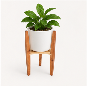 Modern Wooden Plant Stand Handcrafted Solid Wood Flower <b>Pot</b> <b>Holder</b> for Indoor Living Room & Balcony Planter Display Rack - Product Image 1