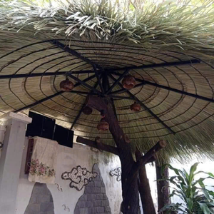 Sombrilla Plegable de Palma Natural de Vietnam de 1.8m, 2.1m, 2.6m para Decoración de Resorts y Playas, Suministrada por 99 Gold Data Firm - Product Image 2