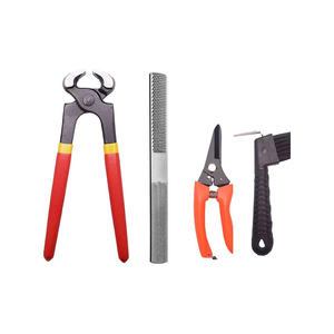 Kits d'outils de fermeur vétérinaire en acier inoxydable de haute qualité pour la médecine vétérinaire et la chirurgie animale, instruments vétérinaires. - Product Image 2