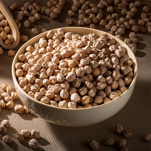 ซื้อถั่วชิกพีคาบูลีออร์แกนิก คุณภาพสูง แห้ง ธรรมชาติ ปลอดสาร GMO บรรจุ 25 กก. ขายส่ง จัดส่งรวดเร็ว - Product Image 6