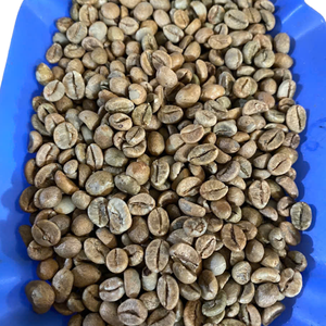 โรบัสต้าสีเขียวเมล็ดกาแฟแปรรูปน้ำผึ้งเกรด1 S16 S18กาแฟธรรมชาติคุณภาพสูงจากเวียดนาม - Product Image 1