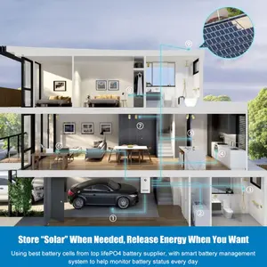 UIENERGIES家庭用太陽光発電システム256V hvバッテリーハイブリッド12.8KWH50ahリチウム電池付き