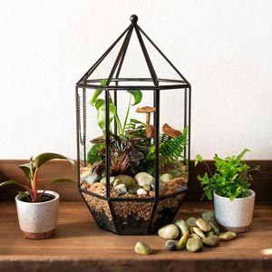 Juego de 2 terrarios personalizados de metal y vidrio, macetero moderno de vidrio para plantas de interior, suculentas, plantas aéreas y terrarios DIY - Product Image 4