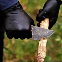 Couteau de chasse et de survie EDC en acier Damas personnalisé, lame fixe, manche en corne de cerf, pour le camping et la survie en extérieur