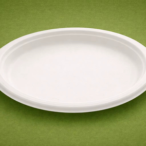 Assiette jetable classique en bagasse de canne à sucre, écologique, biodégradable et compostable, 1000 unités/boîte, Axiom Exports, pour dîner et fête - Product Image 1