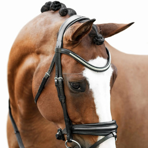 Brida de caballo personalizable de alta calidad profesional, productos equinos ajustables de cuero Ecuestre para exteriores - Product Image 5