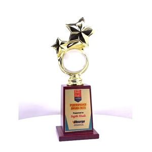 Trofeo de premio con diseño de estrella y bola de cristal, con acabado dorado y base de madera, para reconocer el rendimiento y la excelencia. - Product Image 1