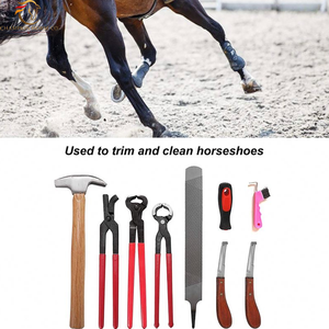 Juego de Herramientas Veterinarias Equinas Profesionales Reutilizables, Kit de Herramientas para Herradores de Caballos, Recortador de Pezuñas, Herramienta para el Cuidado de Caballos, Extractor de Zapatas, Alicates, Lima y Escofina - Product Image 5