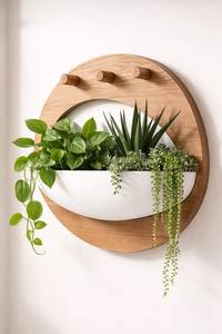 Étagère murale ronde à un seul niveau en bois pour plantes suspendues, finition brillante rustique moderne, décorative pour l'intérieur et l'extérieur - Product Image 1