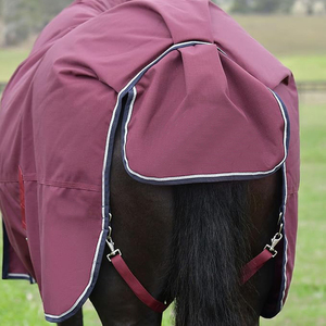 Couverture de cheval de qualité supérieure, en coton épais et imperméable, équipement équestre - Product Image 3