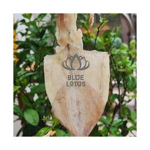 CALAMAR SECO 2026 MÁS VENDIDO PARA MARCAS DE RETAIL Y PLATOS DE FIESTA: MARISCOS FRESCOS Puros, Limpios, Seguros, Premium, Enrollados y Desmenuzados - Product Image 1