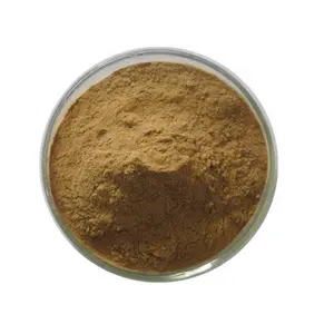 Suministro al por mayor botánico Momordica charantia extracto en polvo de melón amargo charantin 20% Extracto de melón amargo Saponinas - Product Image 1