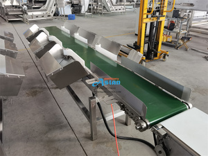 Báscula clasificadora de peso para cintas transportadoras industriales Aslan, máquina clasificadora y seleccionadora de peso para pollos y patos en granjas avícolas - Product Image 4