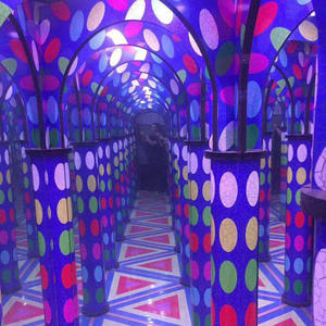 Nouveau Magic Illusion Art Museum Glass <span class=keywords><strong>Mirror</strong></span> <span class=keywords><strong>Maze</strong></span> Vente pour enfants - Product Image 6