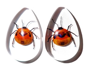 Cabujón de Plástico con Espécimen Real de Insecto Floral, Corte Pera, 46x30 mm, Base Plana Transparente para Manualidades y Joyería - Product Image 3