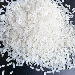 ข้าวเวียดนามคาลโรสเมล็ดกลาง 5% ข้าวหักง่าย นุ่ม ติดกันเล็กน้อย ข้าวขาว ขายส่งจำนวนมาก สำหรับบริการอาหารเอเชีย ส่งออก/ ANNA DO - Product Image 2