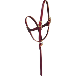 Cabestros de Cuero para Caballo Estilo Western con Logotipo Personalizado, Refuerzos Resistentes, Banda Nasal Cosida y Acolchada, y Cierre de Broche en el Cuello - Product Image 2