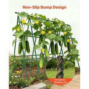 Confezione da 50 Pali per Pomodori in Metallo Rivestito in Plastica da 145,9 cm con Punta Appuntita per Supporto Piante e Coltivazione - Product Image 5