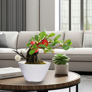 Meilleure vente pot de plantes à vagues élégant et durable écologique pour la maison et le jardin Design ondulé unique pour les fleurs ou la verdure - Product Image 1