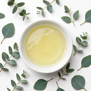 Huile Essentielle d'Eucalyptus 100% Pure, Naturelle et Biologique, Distillée à la Vapeur, pour Soins de la Peau et Aromathérapie – Vente en Gros par le Fabricant Hanu - Product Image 2