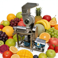 Presse-agrumes commercial haute performance 500 kg/heure pour pommes, oranges et ananas avec broyeur HJ-CM1000