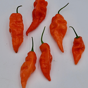 พริกป่นคุณภาพสูง เกรดพรีเมียม พริกแดงบดละเอียด พริกฮาบาเนโรบด - Product Image 1