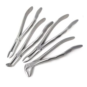 Juego de Fórceps de Extracción Dental de Acero Inoxidable, Instrumentos Quirúrgicos para Extracción de Dientes por QASIDEN INSTRUMENTS - Product Image 5