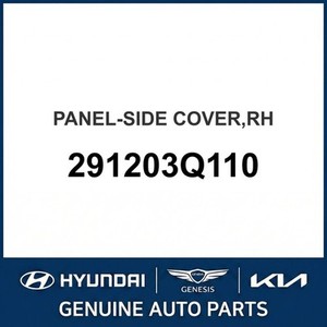 Optima Nouvelles pièces et accessoires pour voitures et camions Droit 291203Q110 - Product Image 1
