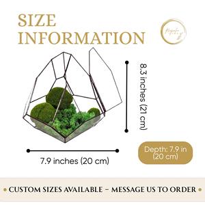 Contemporary Terrarium <b>Mini</b> Indoor Garden Perfect For Hotel Lobby And Hospitality Interior Decoration Handcrafted From India - Product Image 6