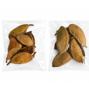 AQUA VRIKSHA Cápsulas Naturales de Pungam para Acuarios, Peceras de Betta, Peceras de Camarones y Acuapaisajismo |   Paquete de 10 - Product Image 3