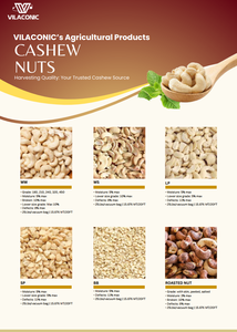 Vietnam Cashew <b>Nuts</b> WW180, 210, 240, 320, 450 Premium Quality, Competitive Price for Global Importers [Evelyn] - Product Image 3