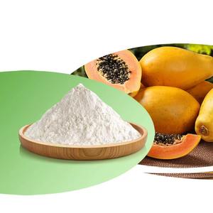 Polvo de Enzima de Papaína al 1% al 10% para Formulaciones Personalizadas con proporciones y etiquetas flexibles - Product Image 3