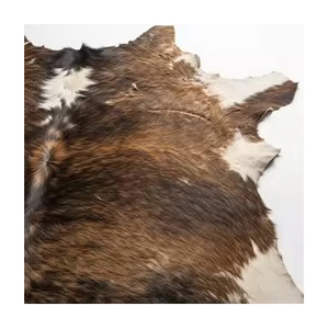 Peaux de vache salées séchées de qualité supérieure pour l'exportation, destinées à l'industrie du cuir mondiale, sélection de haute qualité, approvisionnement en vrac - Product Image 1