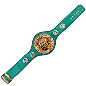 2026 Hot Selling Custom <b>Wrestling</b> Heavyweight Championship Brass Zinc Metal <b>Belt</b> for Karate Taekwondo Judo - Product Image 3